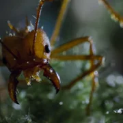 Koszmary z natury - galeria zdjęć - filmweb