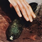Contes immoraux - galeria zdjęć - filmweb