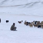 Zud - galeria zdjęć - filmweb