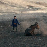 Zud - galeria zdjęć - filmweb