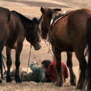 Zud - galeria zdjęć - filmweb