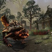 The Elder Scrolls Online: Blackwood - galeria zdjęć - filmweb