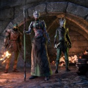 The Elder Scrolls Online: Blackwood - galeria zdjęć - filmweb
