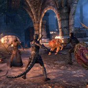 The Elder Scrolls Online: Blackwood - galeria zdjęć - filmweb