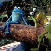 Kermit's Swamp Years - galeria zdjęć - filmweb