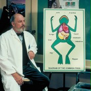 Dr Hugo Krassman