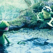 Kermit's Swamp Years - galeria zdjęć - filmweb