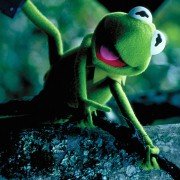 Kermit's Swamp Years - galeria zdjęć - filmweb