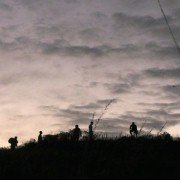 Los Salvajes - galeria zdjęć - filmweb