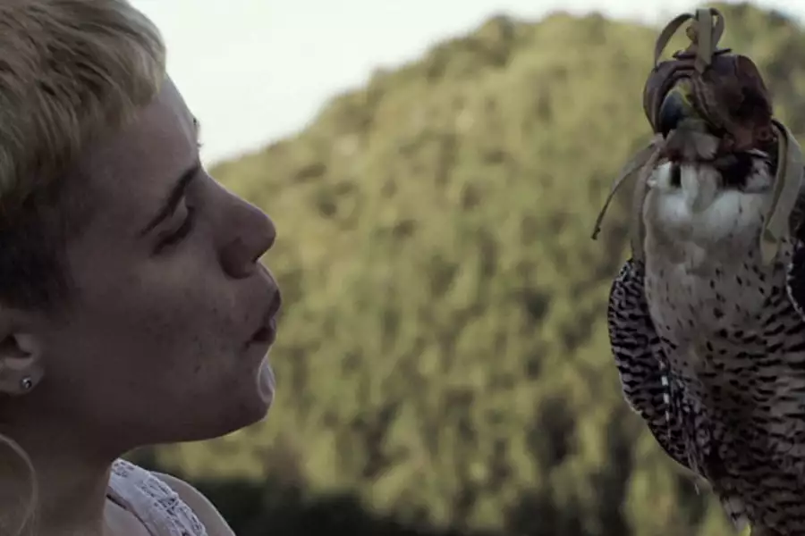 Dzikusy - galeria zdjęć - filmweb