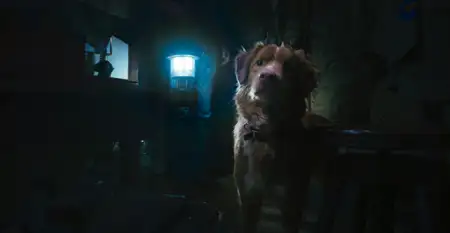 Good Boy - galeria zdjęć - filmweb