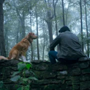 Good Boy - galeria zdjęć - filmweb