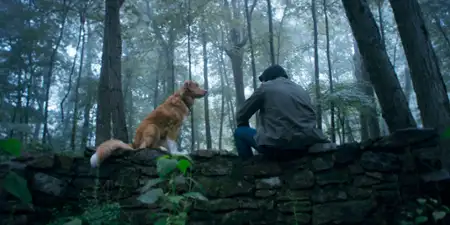 Good Boy - galeria zdjęć - filmweb