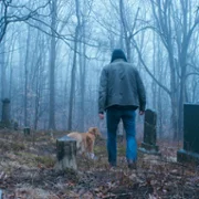 Good Boy - galeria zdjęć - filmweb