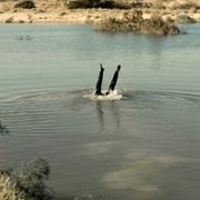 Ha'berech - galeria zdjęć - filmweb