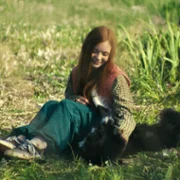 Psoty - galeria zdjęć - filmweb