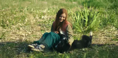 Psoty - galeria zdjęć - filmweb