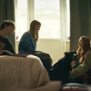 Psoty - galeria zdjęć - filmweb