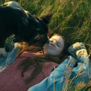 Psoty - galeria zdjęć - filmweb