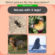 Big Brain Academy: Brain vs. Brain - galeria zdjęć - filmweb