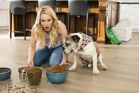 Dobre miejsce - galeria zdjęć - filmweb