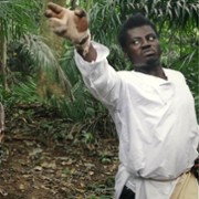 African Kung Fu Nazis - galeria zdjęć - filmweb