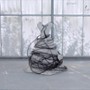 Anselm - galeria zdjęć