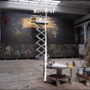 Anselm - galeria zdjęć