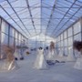 Anselm - galeria zdjęć