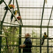 Niebo nie może czekać. Historia Carla Acutisa - galeria zdjęć - filmweb