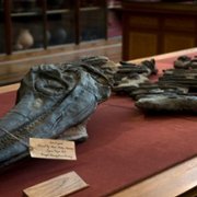 Ammonite - galeria zdjęć - filmweb