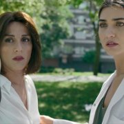 Zeytin Ağacı - galeria zdjęć - filmweb