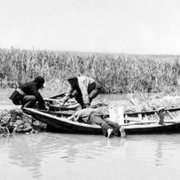 Paisa - galeria zdjęć - filmweb