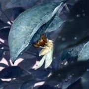 Toki o Kakeru Shōjo - galeria zdjęć - filmweb