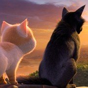 Sekretny świat kotów - galeria zdjęć - filmweb