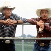 Dallas - galeria zdjęć - filmweb
