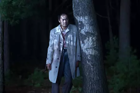 Morze drzew - galeria zdjęć - filmweb