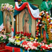 Guadalupe: Madre de la Humanidad - galeria zdjęć - filmweb