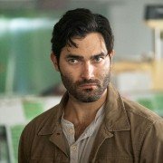 The Domestics - galeria zdjęć - filmweb