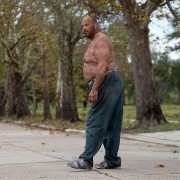 The Domestics - galeria zdjęć - filmweb