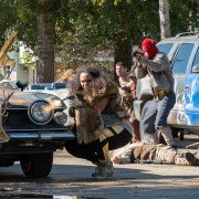 The Domestics - galeria zdjęć - filmweb