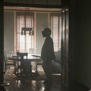 The Domestics - galeria zdjęć - filmweb