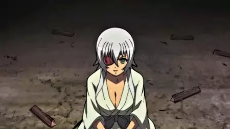 Hyakka Ryōran: Samurai Girls - galeria zdjęć - filmweb
