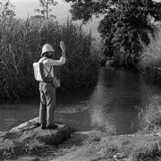 Tabu - galeria zdjęć - filmweb