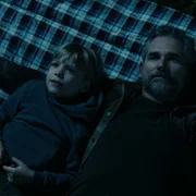 Untamed - galeria zdjęć - filmweb