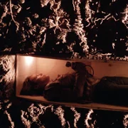 Kill Bill: Vol. 2 - galeria zdjęć - filmweb