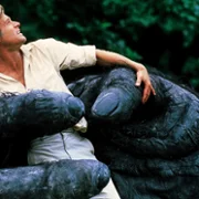 King Kong Lives - galeria zdjęć - filmweb