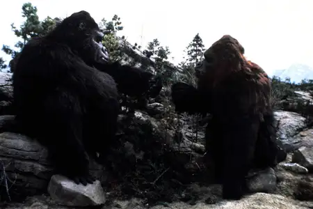 King Kong żyje - galeria zdjęć - filmweb