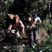 King Kong Lives - galeria zdjęć - filmweb