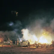 King Kong Lives - galeria zdjęć - filmweb